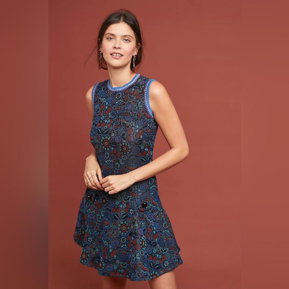 Anna Sui Rooney drop waist dress